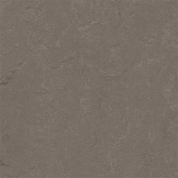 3705 Meteorite Concrete